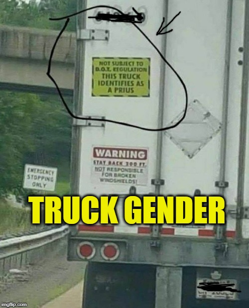TRUCK GENDER | image tagged in prius,gender identity,trucks,politics | made w/ Imgflip meme maker