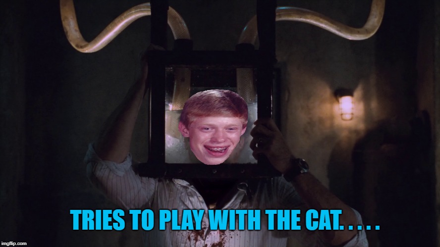 TRIES TO PLAY WITH THE CAT. . . . . | made w/ Imgflip meme maker