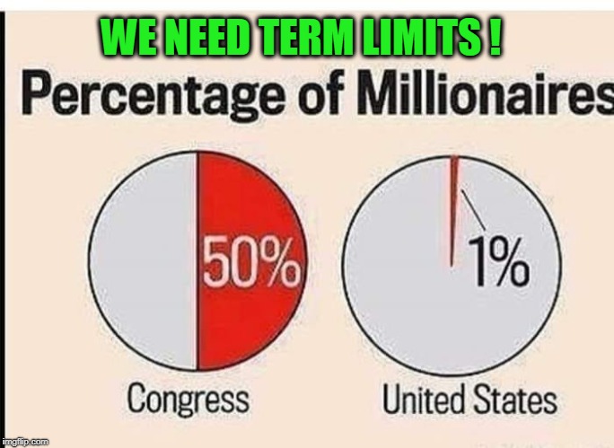 I wonder what it would look like if we had term limits? | WE NEED TERM LIMITS ! | image tagged in term limits,congress,politicians suck | made w/ Imgflip meme maker