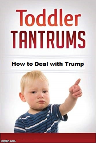 Required Reading | image tagged in dump trump,trump baby,crying trump baby,impeach trump | made w/ Imgflip meme maker