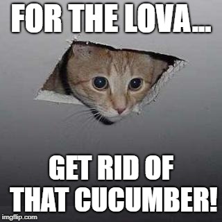 Ceiling Cat | FOR THE LOVA... GET RID OF THAT CUCUMBER! | image tagged in memes,ceiling cat | made w/ Imgflip meme maker