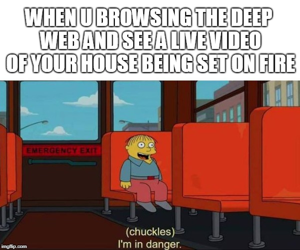I'm in Danger + blank place above | WHEN U BROWSING THE DEEP WEB AND SEE A LIVE VIDEO OF YOUR HOUSE BEING SET ON FIRE | image tagged in i'm in danger  blank place above | made w/ Imgflip meme maker