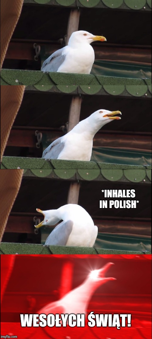 Inhaling Seagull Meme | *INHALES IN POLISH* WESOŁYCH ŚWIĄT! | image tagged in memes,inhaling seagull | made w/ Imgflip meme maker