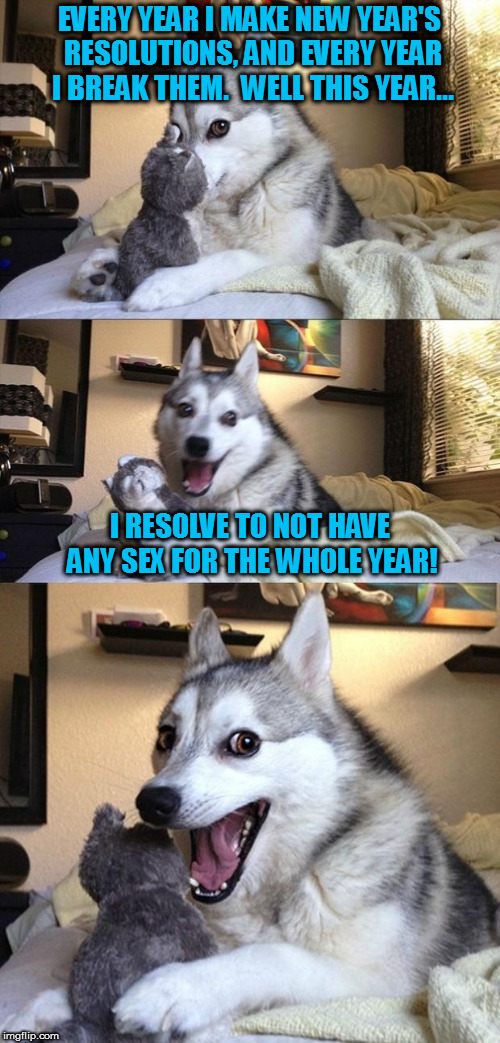 Let's see if I can keep the tradition going | EVERY YEAR I MAKE NEW YEAR'S RESOLUTIONS, AND EVERY YEAR I BREAK THEM.  WELL THIS YEAR... I RESOLVE TO NOT HAVE ANY SEX FOR THE WHOLE YEAR! | image tagged in bad joke dog,memes,new years resolutions | made w/ Imgflip meme maker