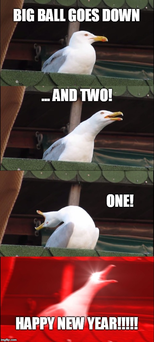 Inhaling Seagull Meme | BIG BALL GOES DOWN; ... AND TWO! ONE! HAPPY NEW YEAR!!!!! | image tagged in memes,inhaling seagull | made w/ Imgflip meme maker