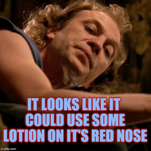 Buffalo Bill | IT LOOKS LIKE IT COULD USE SOME LOTION ON IT'S RED NOSE | image tagged in buffalo bill | made w/ Imgflip meme maker