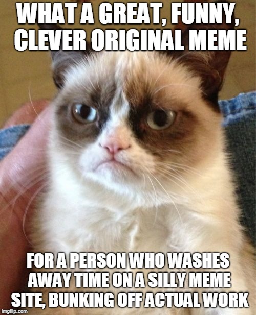 "Great", but is it though? | WHAT A GREAT, FUNNY, CLEVER ORIGINAL MEME; FOR A PERSON WHO WASHES AWAY TIME ON A SILLY MEME SITE, BUNKING OFF ACTUAL WORK | image tagged in memes,grumpy cat,funny,imgflip,imgflip users,work | made w/ Imgflip meme maker