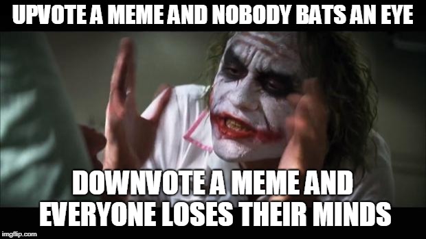 Having an opinion on the internet | UPVOTE A MEME AND NOBODY BATS AN EYE; DOWNVOTE A MEME AND EVERYONE LOSES THEIR MINDS | image tagged in memes,and everybody loses their minds,funny,joker,downvote upvote,imgflip | made w/ Imgflip meme maker
