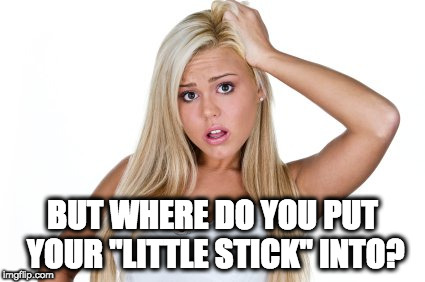 Dumb Blonde | BUT WHERE DO YOU PUT YOUR "LITTLE STICK" INTO? | image tagged in dumb blonde | made w/ Imgflip meme maker