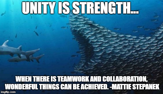 Unity is Strength | UNITY IS STRENGTH... WHEN THERE IS TEAMWORK AND COLLABORATION, WONDERFUL THINGS CAN BE ACHIEVED. -MATTIE STEPANEK | image tagged in fish teamwork,teamwork,unity,team | made w/ Imgflip meme maker