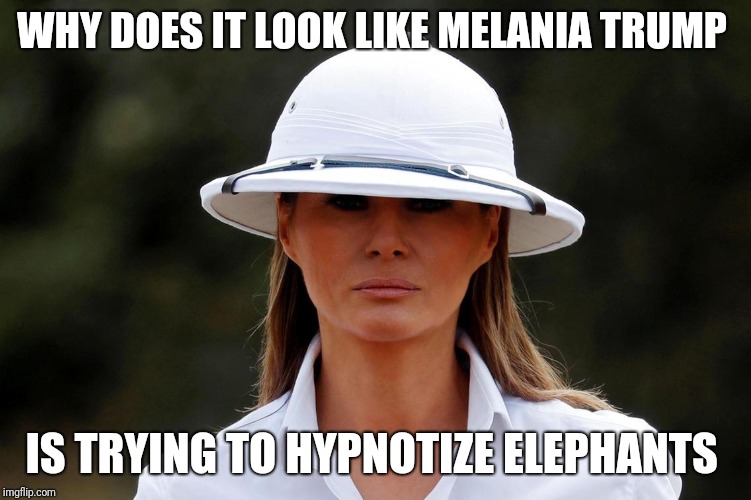 Memes | WHY DOES IT LOOK LIKE MELANIA TRUMP; IS TRYING TO HYPNOTIZE ELEPHANTS | image tagged in trump | made w/ Imgflip meme maker