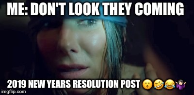 Don't Look ! | ME: DON'T LOOK THEY COMING; 2019 NEW YEARS RESOLUTION POST 😮🤣😂🤷🏻‍♀️ | image tagged in funny,bird | made w/ Imgflip meme maker