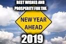 New Year Ahead | BEST WISHES AND PROSPERITY FOR THE; 2019 | image tagged in new year ahead | made w/ Imgflip meme maker