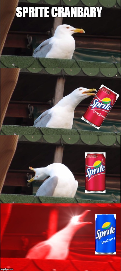 Inhaling Seagull | SPRITE CRANBARY | image tagged in memes,inhaling seagull | made w/ Imgflip meme maker