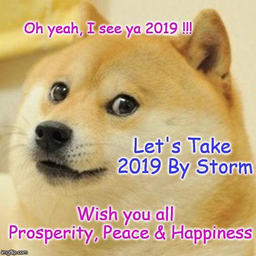 Doge Meme | Oh yeah, I see ya 2019 !!! Let's Take 2019 By Storm; Wish you all  Prosperity, Peace & Happiness | image tagged in memes,doge | made w/ Imgflip meme maker