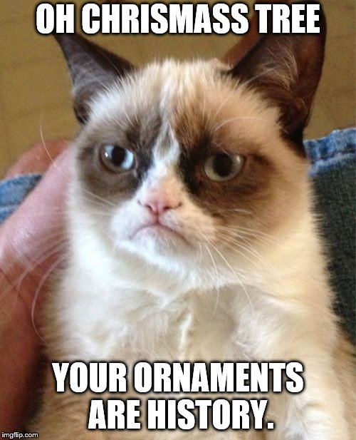 Grumpy Cat Meme | OH CHRISMASS TREE; YOUR ORNAMENTS ARE HISTORY. | image tagged in memes,grumpy cat | made w/ Imgflip meme maker