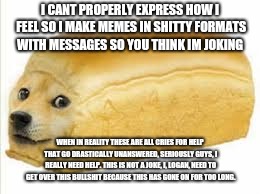 Doge bread | I CANT PROPERLY EXPRESS HOW I FEEL SO I MAKE MEMES IN SHITTY FORMATS WITH MESSAGES SO YOU THINK IM JOKING; WHEN IN REALITY THESE ARE ALL CRIES FOR HELP THAT GO DRASTICALLY UNANSWERED, SERIOUSLY GUYS, I REALLY NEED HELP. THIS IS NOT A JOKE, I, LOGAN, NEED TO GET OVER THIS BULLSHIT BECAUSE THIS HAS GONE ON FOR TOO LONG. | image tagged in doge bread | made w/ Imgflip meme maker