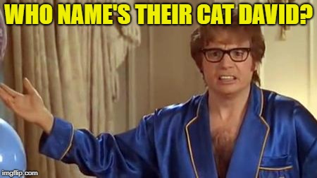 Austin Powers Honestly Meme | WHO NAME'S THEIR CAT DAVID? | image tagged in memes,austin powers honestly | made w/ Imgflip meme maker