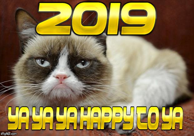 2019 yayaya | image tagged in grumpy cat new year,grumpy cat,2019,meme,memes,cats | made w/ Imgflip meme maker