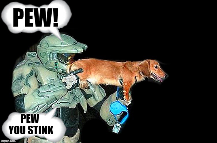 weiner rifle  | PEW! PEW YOU STINK | image tagged in weiner dog,assassin,stinky butt,funny | made w/ Imgflip meme maker