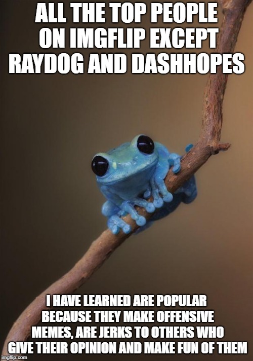 small fact frog | ALL THE TOP PEOPLE ON IMGFLIP EXCEPT RAYDOG AND DASHHOPES; I HAVE LEARNED ARE POPULAR BECAUSE THEY MAKE OFFENSIVE MEMES, ARE JERKS TO OTHERS WHO GIVE THEIR OPINION AND MAKE FUN OF THEM | image tagged in small fact frog | made w/ Imgflip meme maker