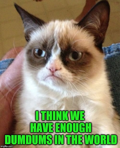 Grumpy Cat Meme | I THINK WE HAVE ENOUGH DUMDUMS IN THE WORLD | image tagged in memes,grumpy cat | made w/ Imgflip meme maker