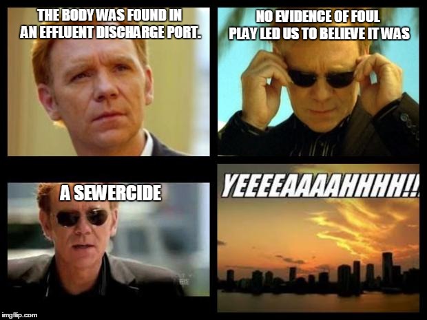 CSI | THE BODY WAS FOUND IN AN EFFLUENT DISCHARGE PORT. NO EVIDENCE OF FOUL PLAY LED US TO BELIEVE IT WAS; A SEWERCIDE | image tagged in csi | made w/ Imgflip meme maker