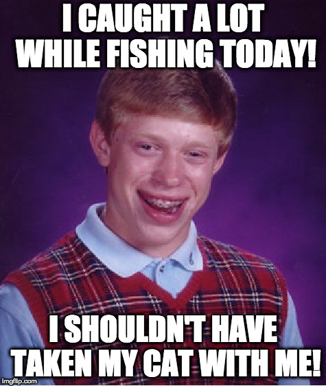 A little late to think about that, eh? | I CAUGHT A LOT WHILE FISHING TODAY! I SHOULDN'T HAVE TAKEN MY CAT WITH ME! | image tagged in memes,bad luck brian | made w/ Imgflip meme maker