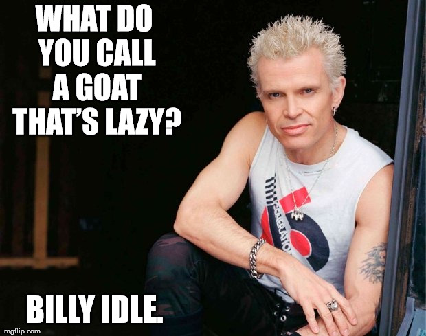 Billy Goat Idol | WHAT DO YOU CALL A GOAT THAT’S LAZY? BILLY IDLE. | image tagged in billy idol,goat,bad pun | made w/ Imgflip meme maker
