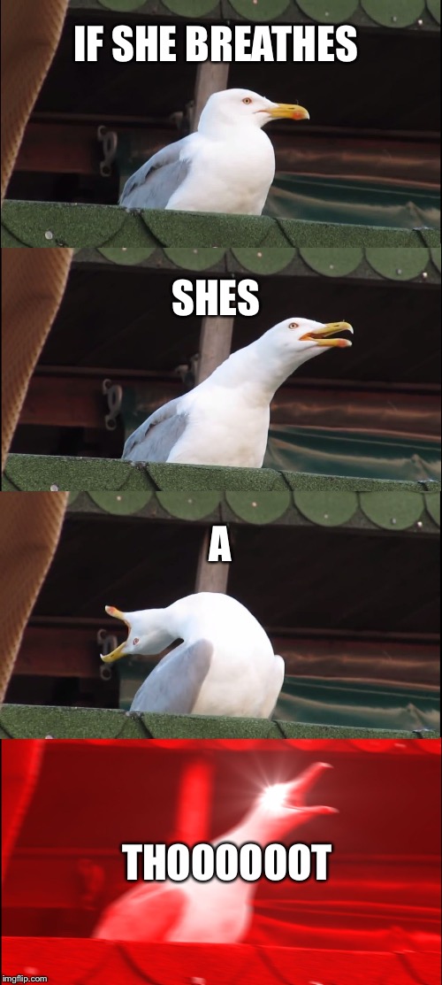 Inhaling Seagull Meme | IF SHE BREATHES; SHES; A; THOOOOOOT | image tagged in memes,inhaling seagull | made w/ Imgflip meme maker