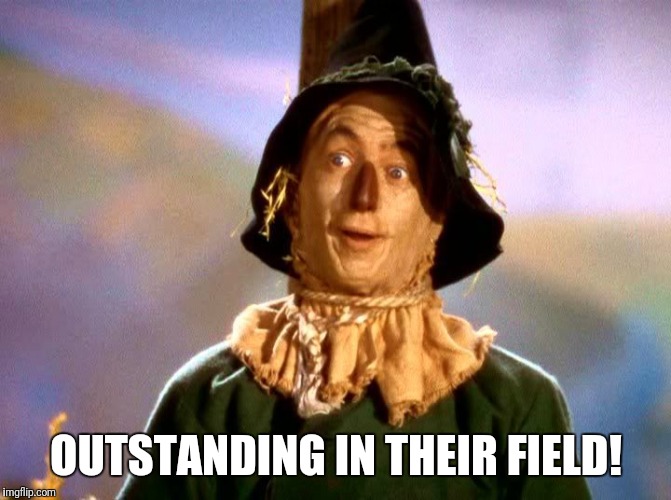 Wizard of Oz Scarecrow | OUTSTANDING IN THEIR FIELD! | image tagged in wizard of oz scarecrow | made w/ Imgflip meme maker