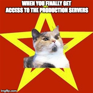 RED CAT | WHEN YOU FINALLY GET ACCESS TO THE PRODUCTION SERVERS | image tagged in red cat,ProgrammerHumor | made w/ Imgflip meme maker