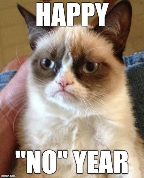 Grumpy Cat Meme | HAPPY; "NO" YEAR | image tagged in memes,grumpy cat | made w/ Imgflip meme maker