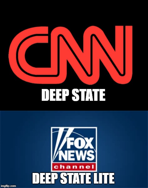 The fact of the matter | DEEP STATE; DEEP STATE LITE | image tagged in fake news,deep state | made w/ Imgflip meme maker