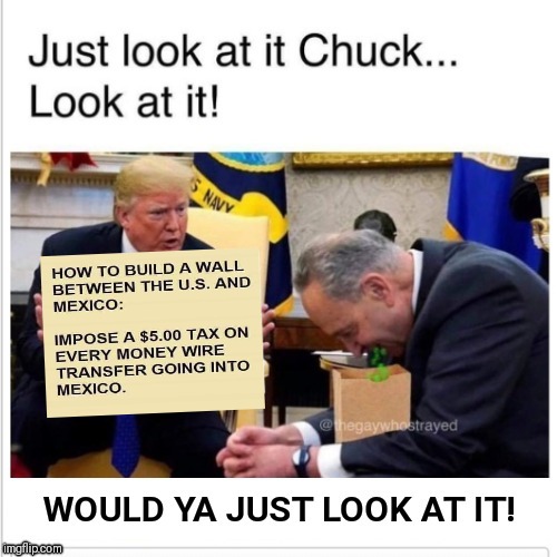 image tagged in trump | made w/ Imgflip meme maker