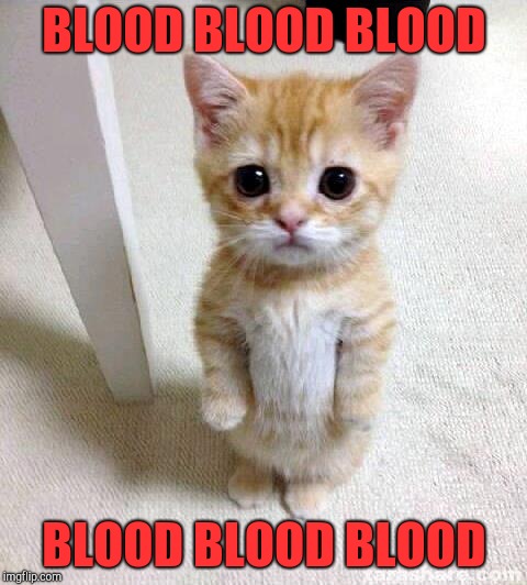 Cute Cat Meme | BLOOD BLOOD BLOOD; BLOOD BLOOD BLOOD | image tagged in memes,cute cat | made w/ Imgflip meme maker