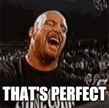 Stone Cold Laughing | THAT'S PERFECT | image tagged in stone cold laughing | made w/ Imgflip meme maker