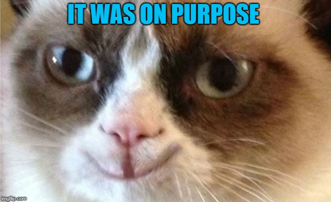 IT WAS ON PURPOSE | made w/ Imgflip meme maker