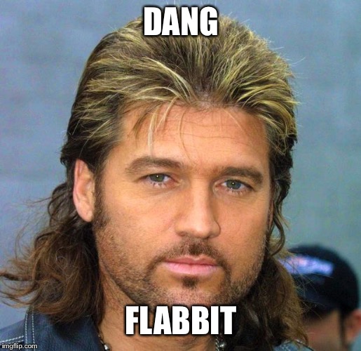 billy ray | DANG; FLABBIT | image tagged in billy ray | made w/ Imgflip meme maker
