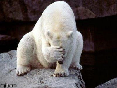 Polar bear facepalm | . | image tagged in polar bear facepalm | made w/ Imgflip meme maker