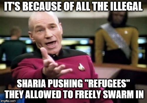 Picard Wtf Meme | IT'S BECAUSE OF ALL THE ILLEGAL SHARIA PUSHING "REFUGEES" THEY ALLOWED TO FREELY SWARM IN | image tagged in memes,picard wtf | made w/ Imgflip meme maker