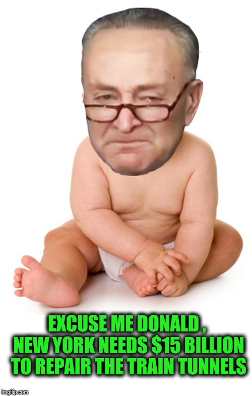 Chuck Schumer baby | EXCUSE ME DONALD , NEW YORK NEEDS $15 BILLION TO REPAIR THE TRAIN TUNNELS | image tagged in chuck schumer baby | made w/ Imgflip meme maker