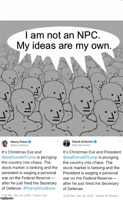 Proof of NPC's in the DNC | I am not an NPC. My ideas are my own. | image tagged in politics,npc,liberals,dnc | made w/ Imgflip meme maker