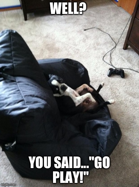 image tagged in funny,dogs,gaming | made w/ Imgflip meme maker