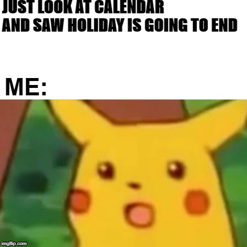 Surprised Pikachu | JUST LOOK AT CALENDAR AND SAW HOLIDAY IS GOING TO END; ME: | image tagged in memes,surprised pikachu | made w/ Imgflip meme maker