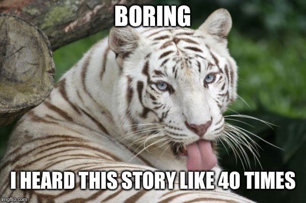 BORING; I HEARD THIS STORY LIKE 40 TIMES | image tagged in tiger | made w/ Imgflip meme maker