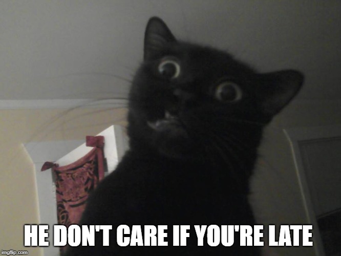 WTF cat | HE DON'T CARE IF YOU'RE LATE | image tagged in wtf cat | made w/ Imgflip meme maker