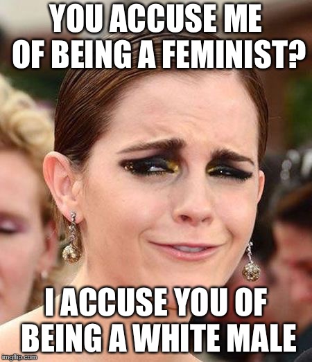 Und I accuse Emma of being a liberal shieße | YOU ACCUSE ME OF BEING A FEMINIST? I ACCUSE YOU OF BEING A WHITE MALE | image tagged in smug emma watson,memes,liberals,sjw | made w/ Imgflip meme maker
