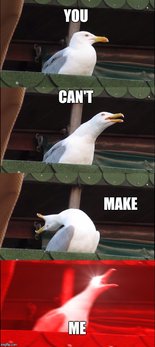 Inhaling Seagull Meme | YOU; CAN'T; MAKE; ME | image tagged in memes,inhaling seagull | made w/ Imgflip meme maker