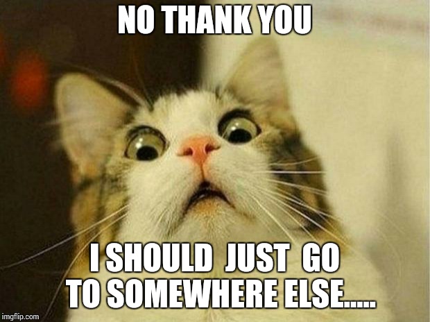 Scared Cat Meme | NO THANK YOU I SHOULD  JUST  GO  TO SOMEWHERE ELSE..... | image tagged in memes,scared cat | made w/ Imgflip meme maker